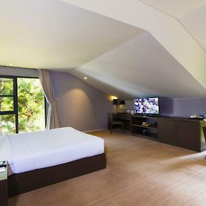 Deluxe Rooftop King Room